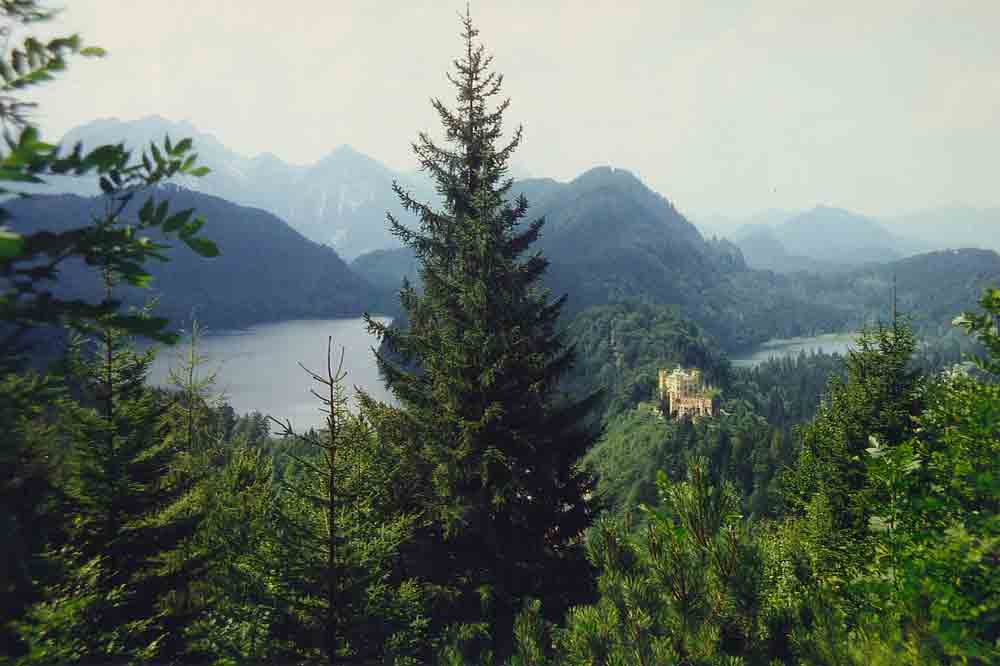 113 - Alemania - castillo de Hohenschwangau